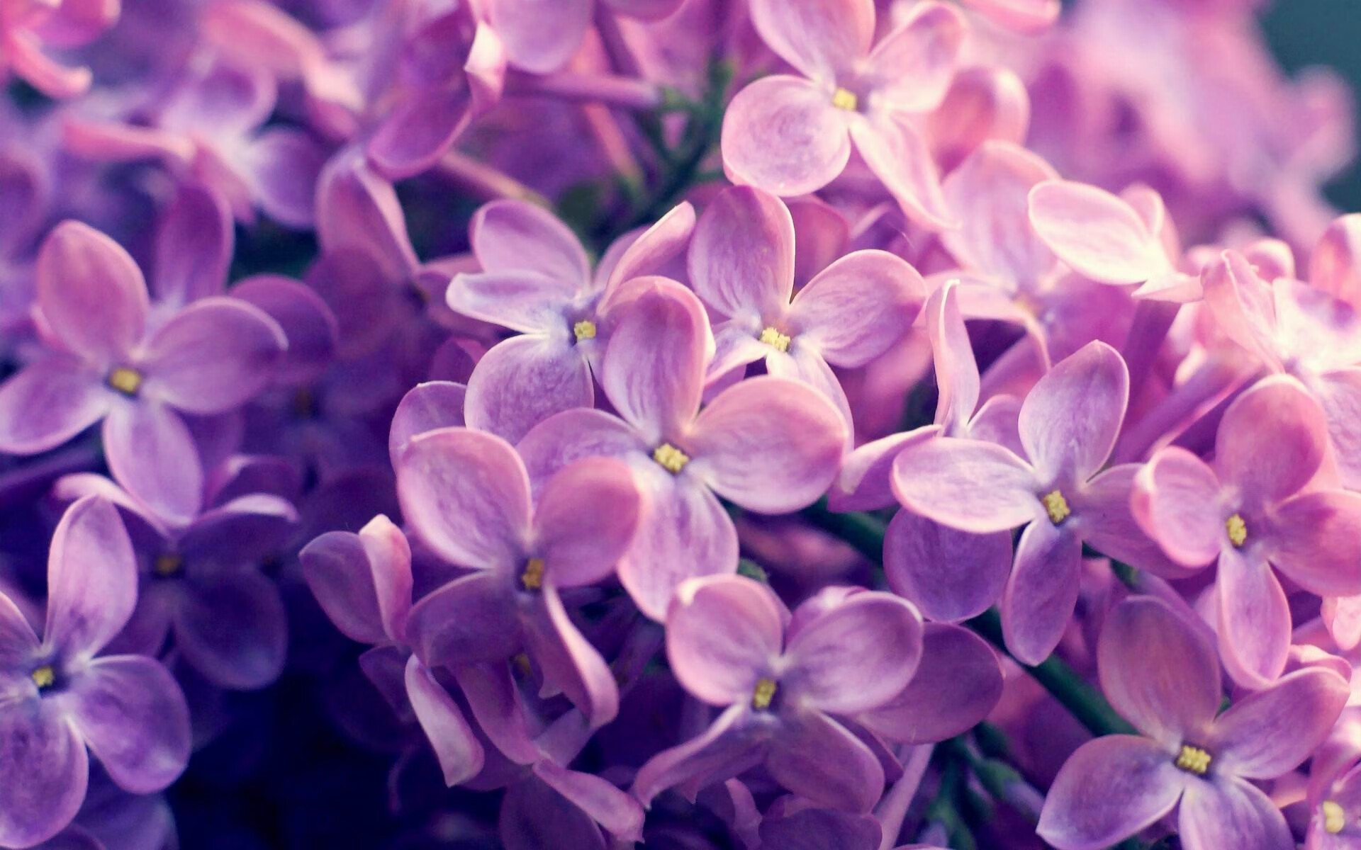 一人屠榜难救主！加克波数据爆炸夜，映照现代足球最残酷悖论