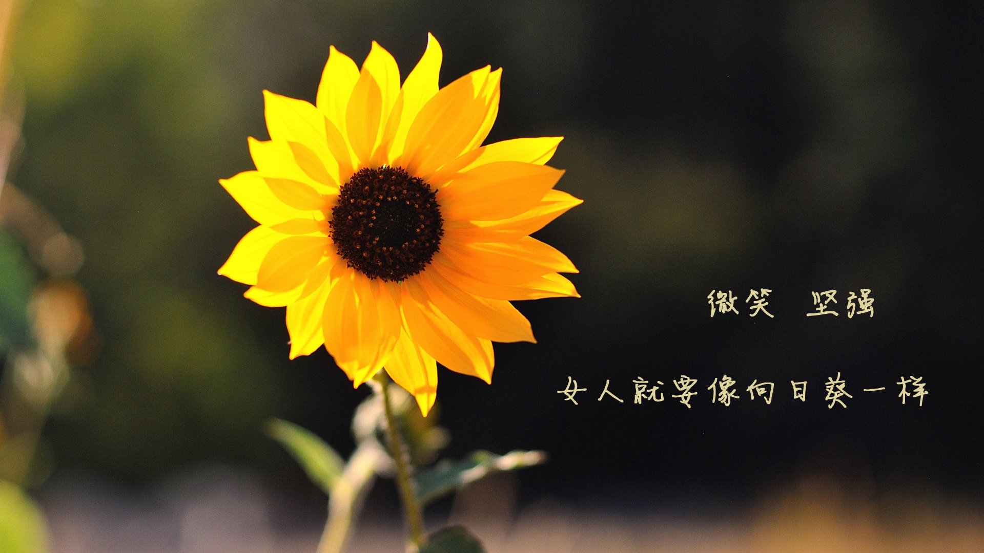 F1的轰鸣，网红包厢的香槟，和那个戴墨镜的杜兰特，当跨界成为流量终极密码